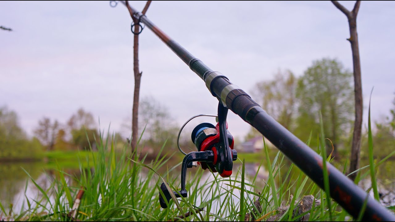 ВСЁ-ТАКИ ЕСТЬ РЫБА!!!//Часть вторая.