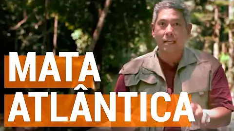 Onde se encontra a floresta tropical?