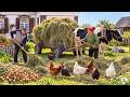 A Simple Day in the Countryside | Farm Work, Homemade Food &amp; Peaceful Country Life