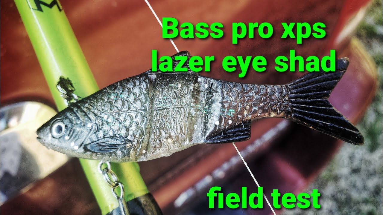 Bass Pro XPS lazer eye shad swimbait field test – Bass Manager
