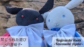   Kinjirareta Asobi Kawasumi Ayako Vocal Cover