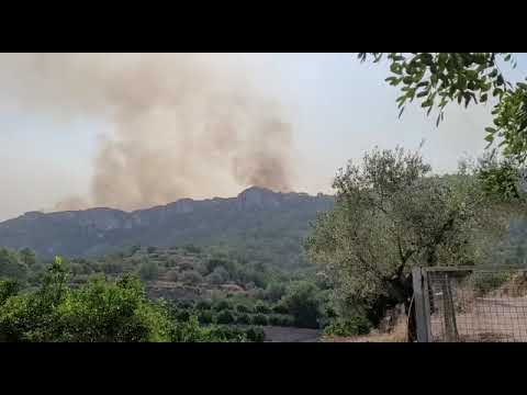 Descarga de los medios aéreos en el incendio de la Vall d'Ebo