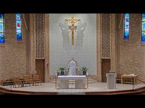 Daily Mass Wednesday - 8:15 AM - 06/18/2025