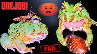 This Frog was Born WITHOUT A BRAIN!!!