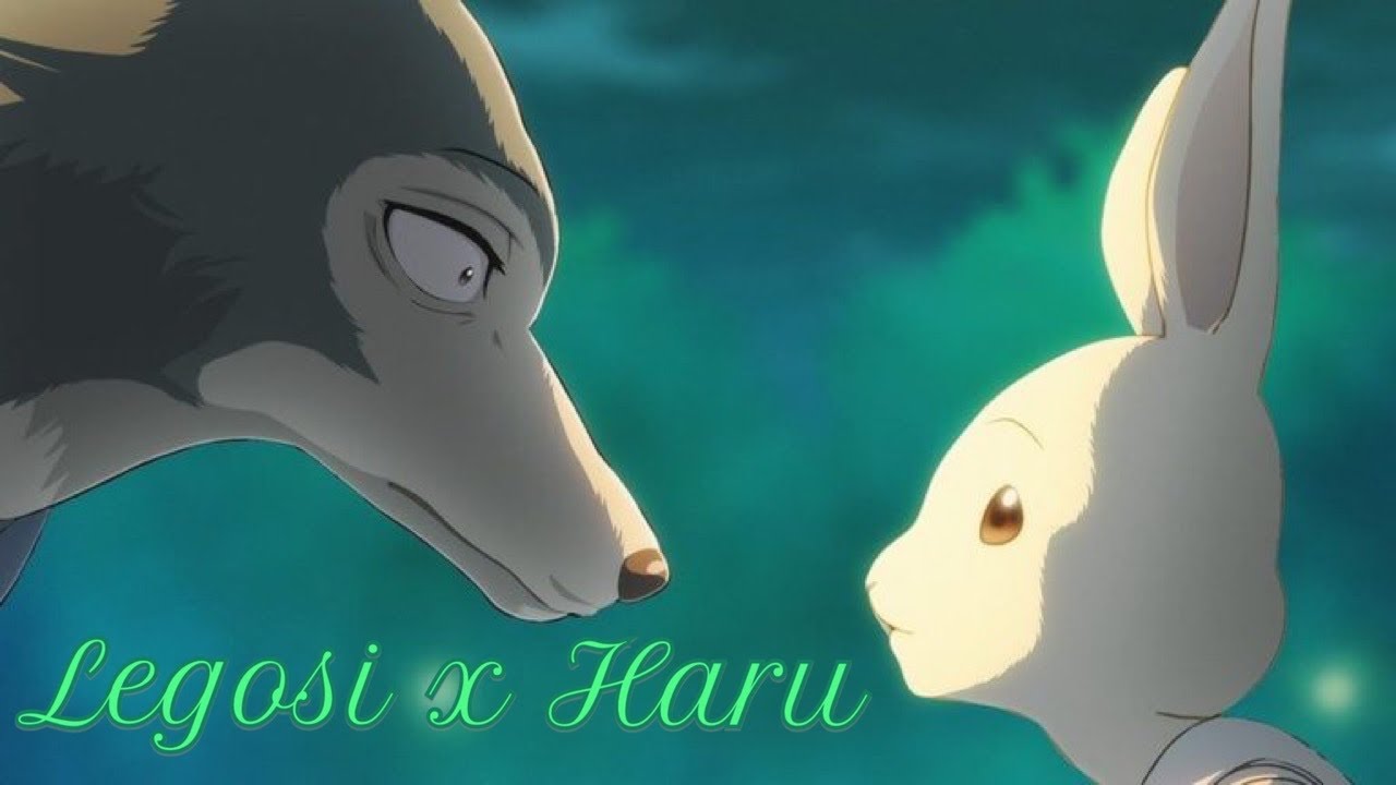 Legosi x Haru🤍 ~AMV~ || Beastars🐺🐰||
