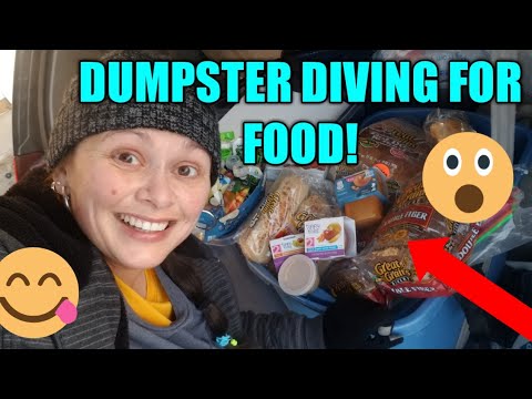 Gallery Detail: Dumpster Diving Climbing In For Food Treats And Unexpected Treasures