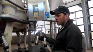 How Dairy Cows Are Milked - Breakfast on the Farm