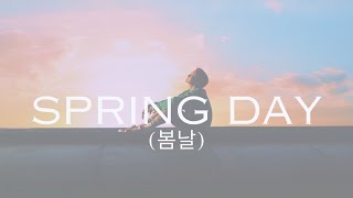BTS - Spring Day(봄날) (EXO Ot12 AI Cover) Resimi