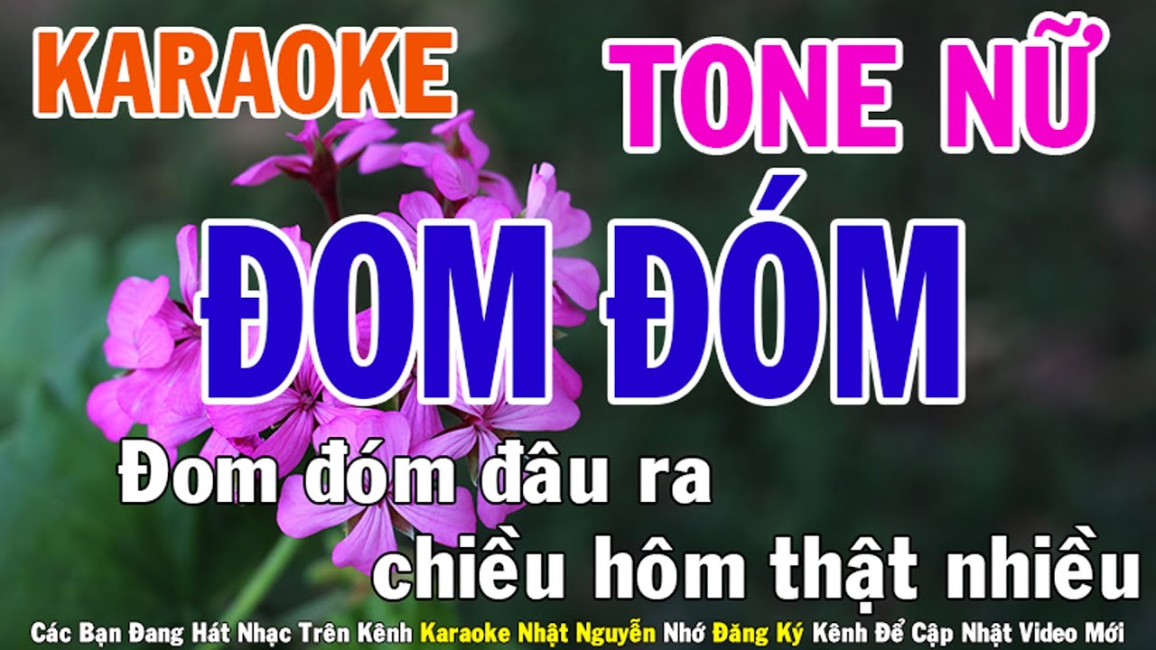 Đom Đóm Karaoke Tone Nữ Nhạc Sống - Phối Mới Dễ Hát - Nhật Nguyễn