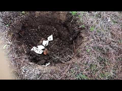 Весенняя посадка винограда видео урок