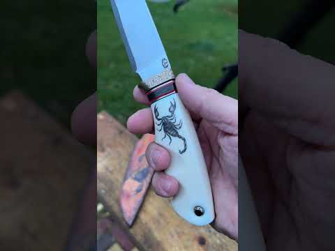     7 920 066 3333