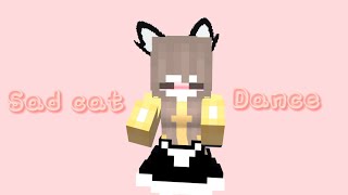 Sad cat dance //minecraft animation (prisma 3d)