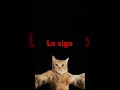 8 de mayo de 2025