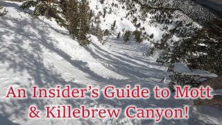 An Insider's Guide to Ski Resorts: Heavenly (ep. 27, part d-Mott & Killebrew Canyon)