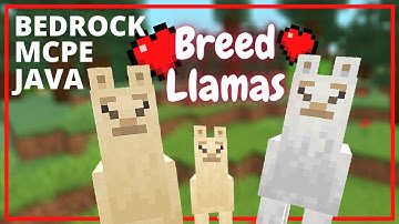 How to Breed Llamas in Minecraft - Java, Bedrock and MCPE