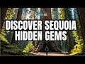 Explore the Hidden gems of Sequoia and Kings Canyon National Park |Sierra Rec Now Podcast