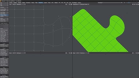 LightWave Model - Puzzle - Hard Organic