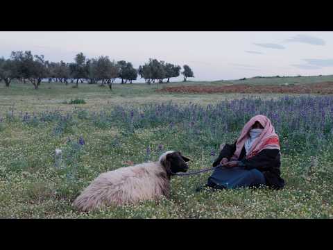 CONCRETE LAND trailer | BFI London Film Festival 2026 – 7-18 October