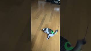 IMG 4403
