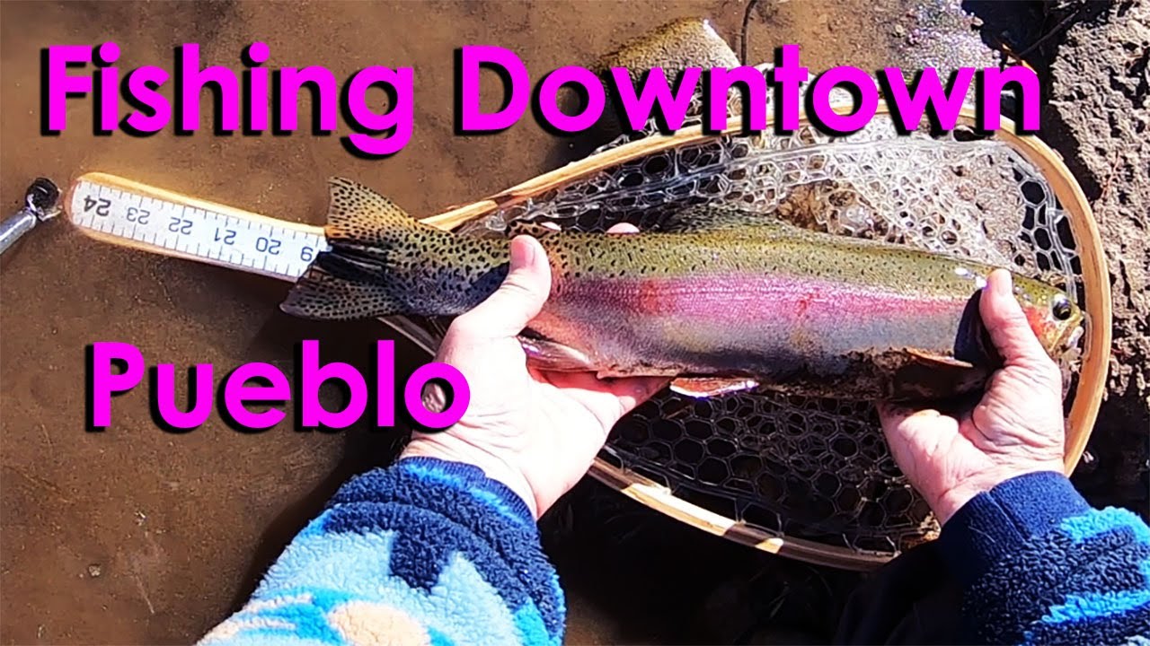 Watch Fly Fishing Downtown Pueblo 4th st. Pueblo Tailwaters Arkansas River on YouTube Watch Fly Fishing Downtown Pueblo 4th st. Pueblo Tailwaters Arkansas River on YouTube