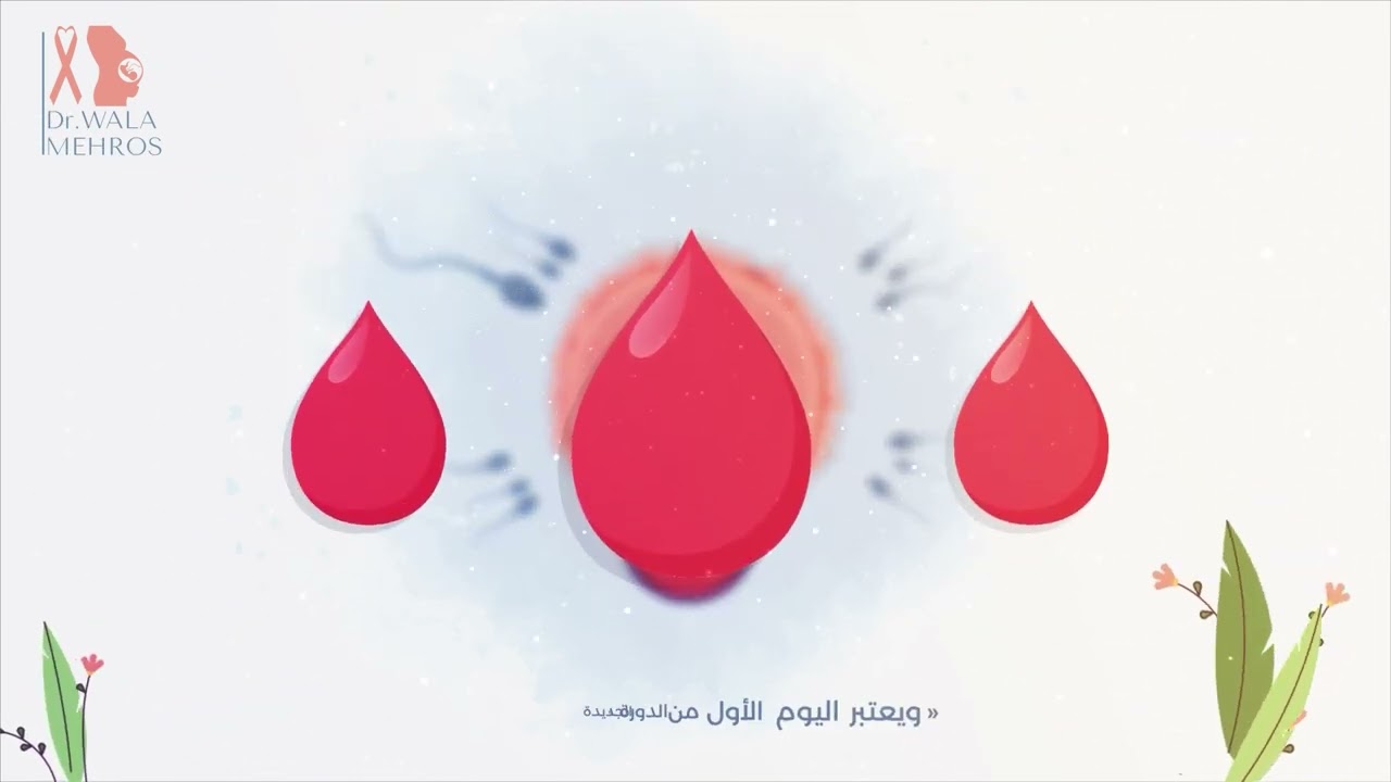 سماكة بطانة الرحم الطبيعية