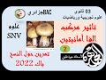 العرض الثاني من حل تمرين الفا امانيتين باك2022