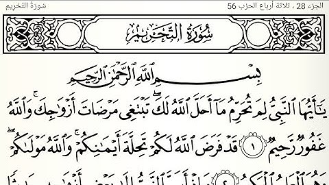 سورة ألتحريم تلاوت قرآن الشيخ(عبد الرحمن الشحات)(مع تكرار ألأيات)