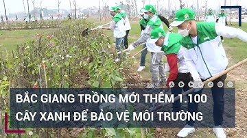 Bắc Giang trồng mới thêm 1.100 cây xanh để bảo vệ môi trường | VTC Tin mới