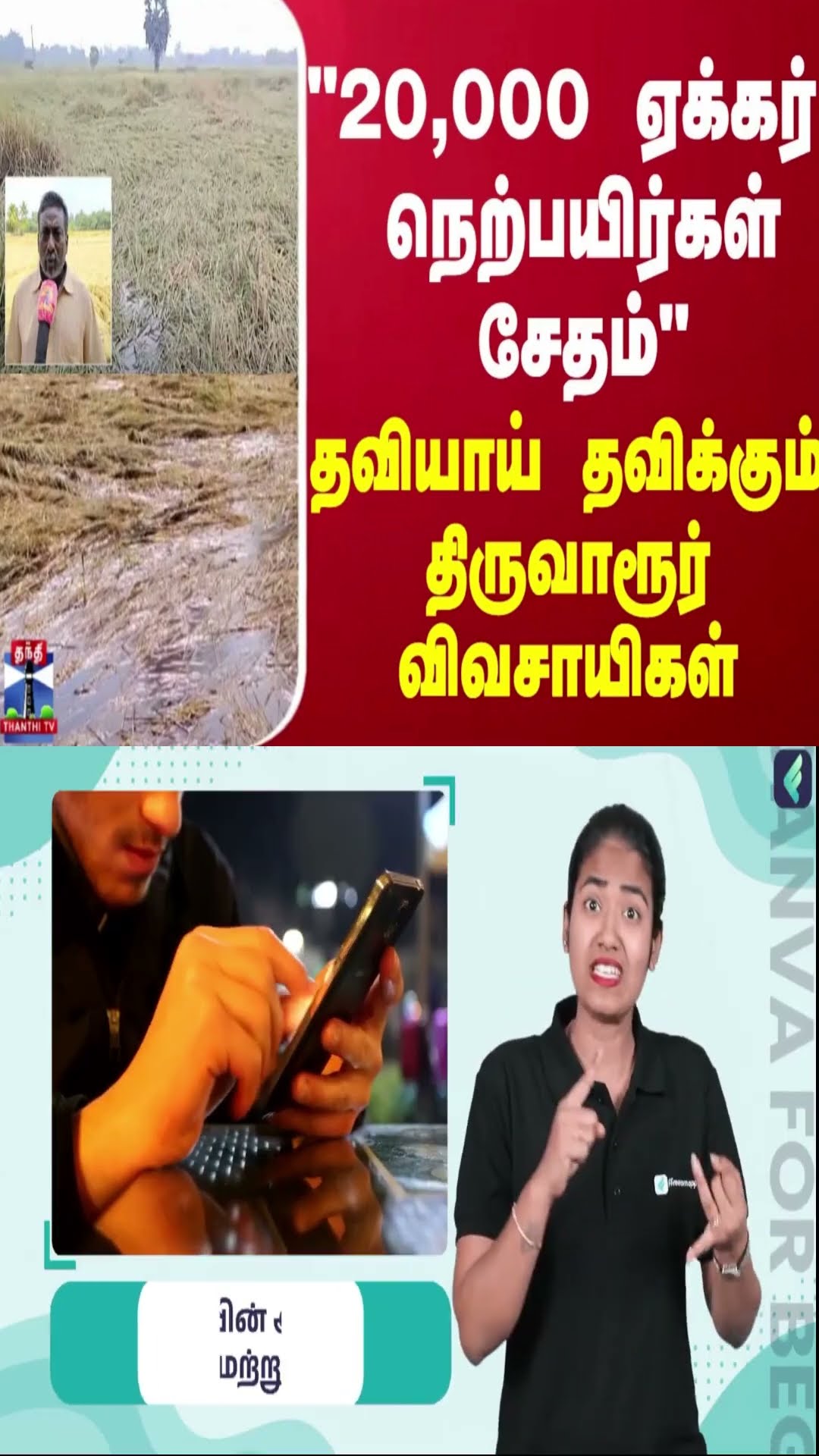 “20,000 ஏக்கர்  நெற்பயிர்கள் சேதம்“ - தவியாய் தவிக்கும் திருவாரூர் விவசாயிகள்