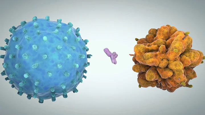 Biomarker Based Companion Diagnostics Are Enabling Precision Oncology