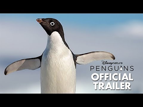 disneynature's-penguins-official-trailer