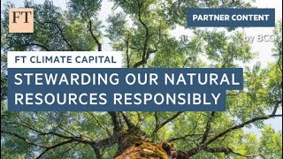 The paper trail: stewarding our natural resources responsibly | FT Climate Capital