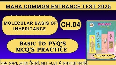 CH 04 Molecular Basis Of Inheritance Basic to PYQ