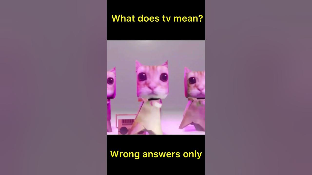 what-does-tv-mean-wrong-answers-only-comment-memes-funny