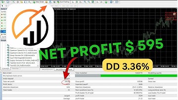 Quantum Speed EA – The 99% Win Rate MT4 Bot for XAUUSD