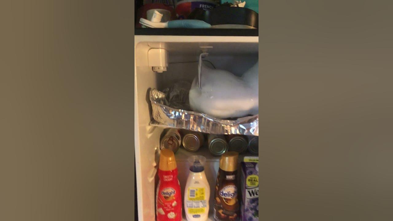 DEFROSTING THE MINI FRIDGE. 742023. 71F ! YouTube