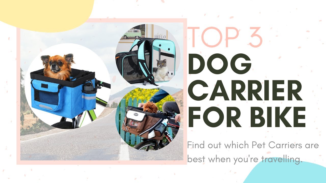 🐶Top 3 dog carrier for bike. Pet Cat Backpack Carrier. Best Bicycle Dog