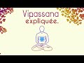 Vipassana mditation explique    pleine conscience et respiration