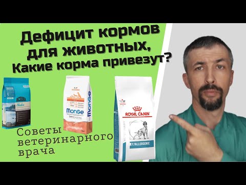 Дефицит кормов для домашних животных