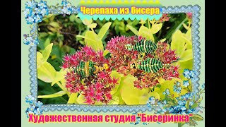 Черепаха из бисера. (Turtle made of beads) Простое изделие для начинающих любителей бисероплетения.