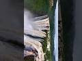A queda d'água com "quatro braços" #JogFalls #viagem #india #Karnataka #Cachoeiras