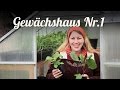 Gewächshaus vorbereiten & bepflanzen 🌹 Erfahrungen und Tipps 🌹 Selbstversorger Garten