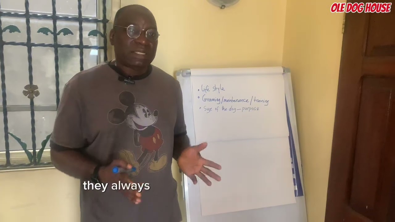 Before You Get a Dog, Watch This! Choosing the Right Dog Breed for Your Lifestyle