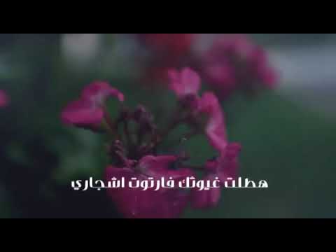 هطلت غيوثك إسلام ألغن ــام 2019 