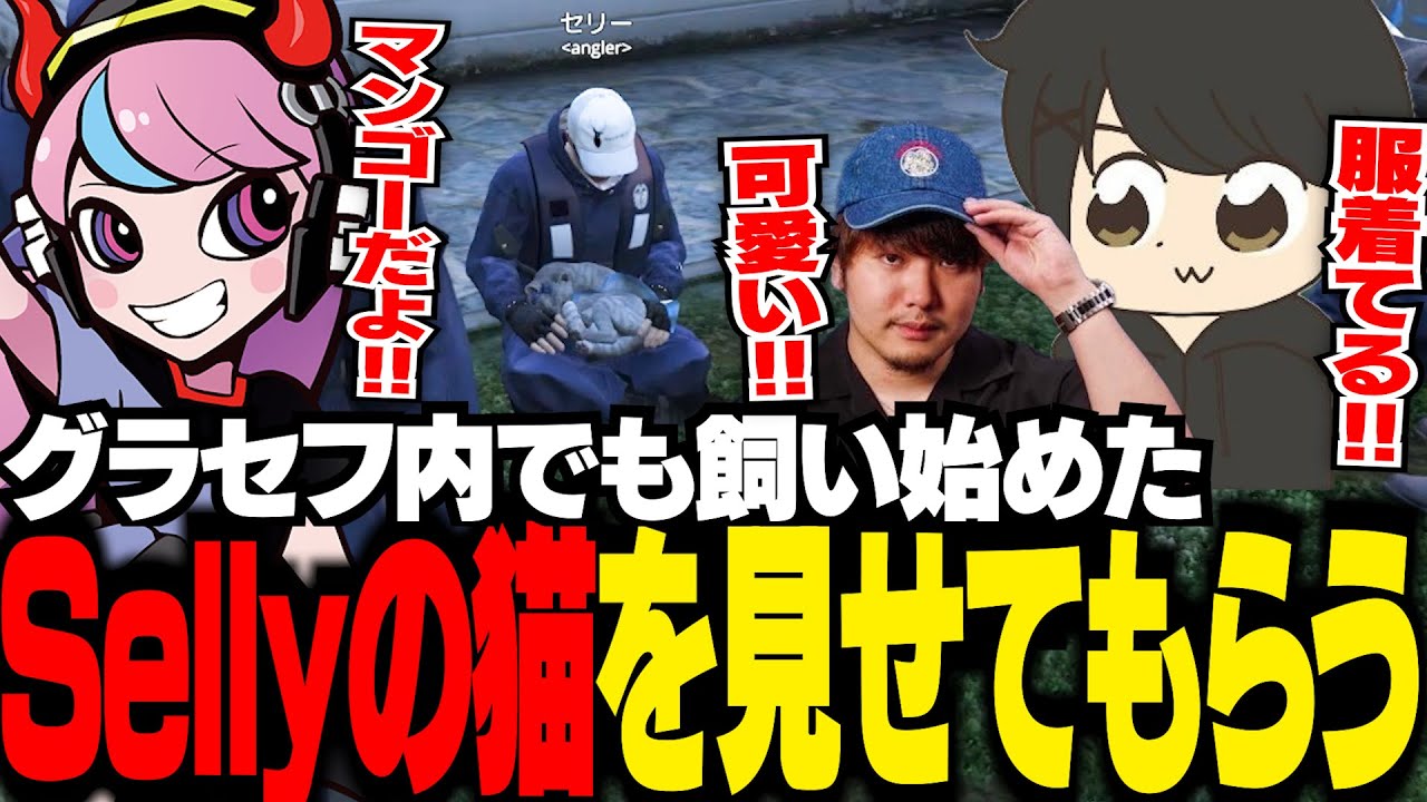 【GTA5 MADTOWN】Sellyの猫を見せてもらうギルたち。リアルでも猫を飼う3人での猫談義【ギルくん/GTA5】