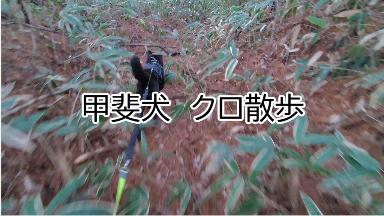 ジェミニちゃんと友達に