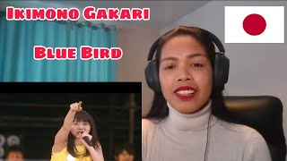 Ikimono Gakari - Blue Bird [Eng Sub] LIve 2016 Jimoto de Show | REACTION