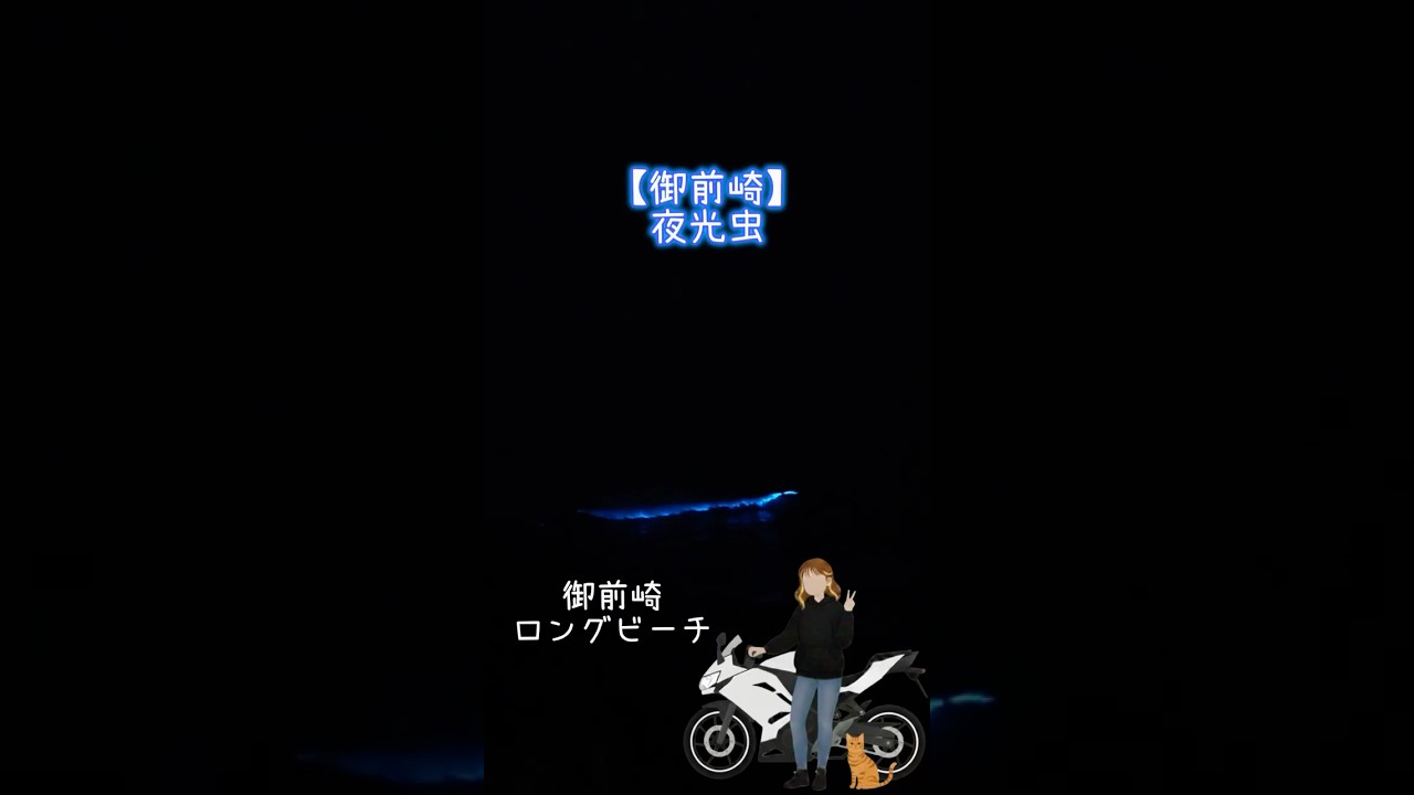 御前崎】夜光虫 2026.5.23 #御前崎 #御前崎ロングビーチ #夜光虫