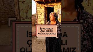 Ablamız Isyanında Haklı Mı? Öy Öportaj