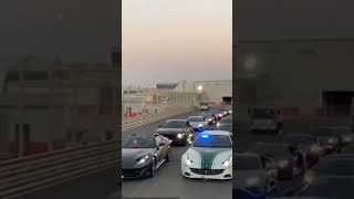 Dubai police police dubai